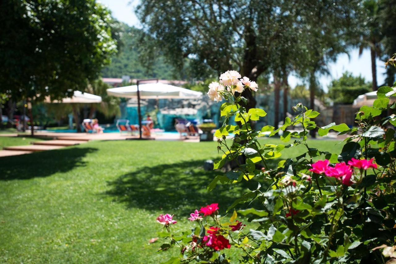 Albani Hotel